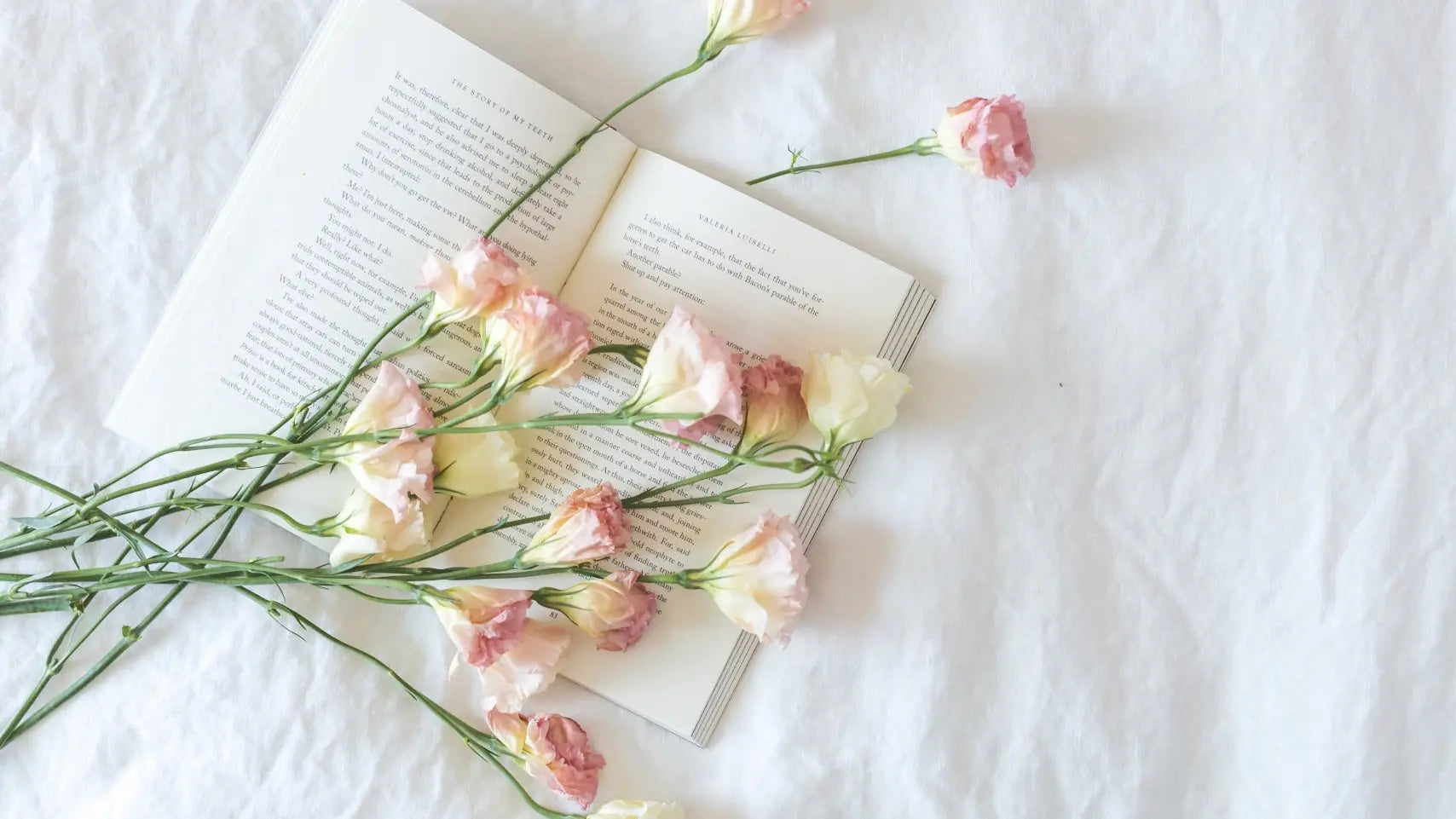 Pink flowers on an open book on a white fabric background Koltex bedding